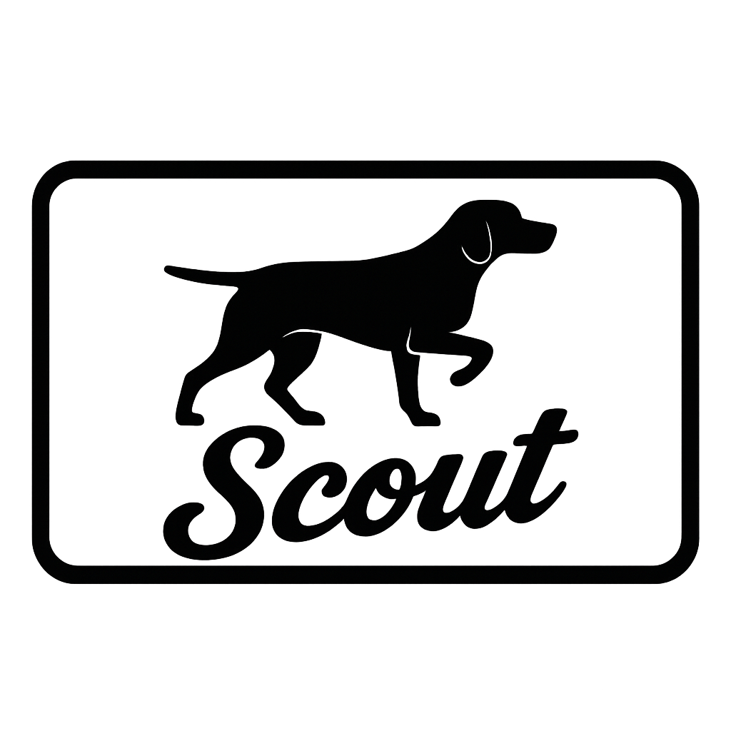 Scout - Revolutionary Meeting Scheduling Logo